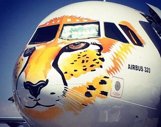 Le guépard d'Asie sur un des Airbus A320 de Meraj Airlines